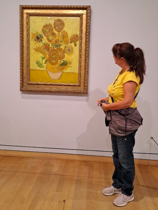 Amsterdam, Van Gogov muzej, suncokreti
